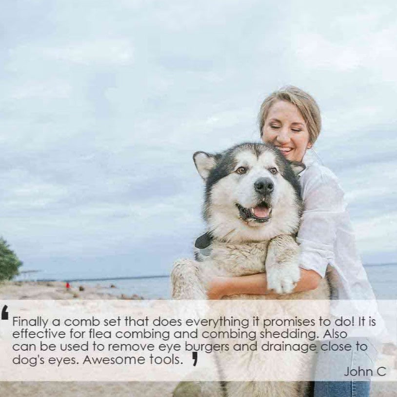 Flea Lice Comb, Stainless Steel Dog Cat Grooming Combs with Rounded Teeth, Professional Pet Tear Stain Remover, Dematting Tool for Small, Medium & Large Pets