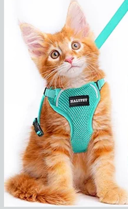 Halypet Cat Harness and Leash Set [ MAX Safety Third Generation ] Escape Proof Soft Adjustable Cat Leash Breathable Comfortable Vest Easy to Wear Kitten Harness for Outdoor Walking
