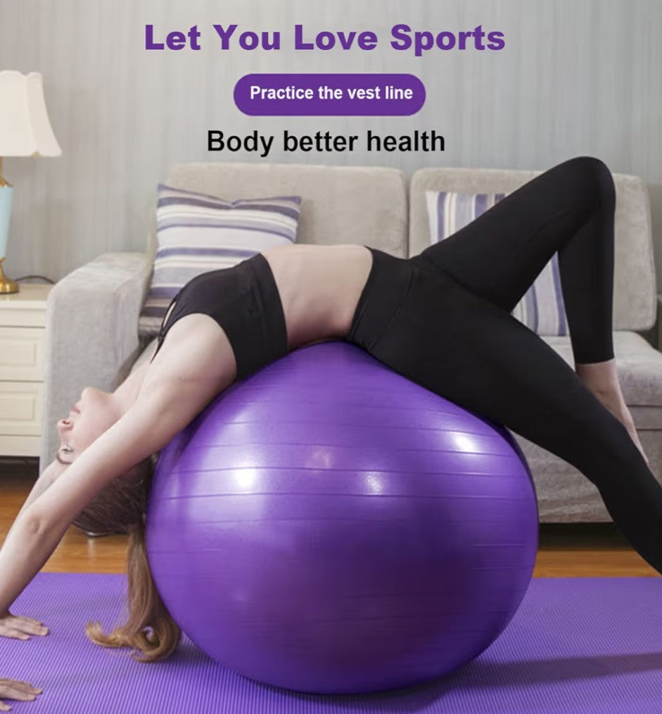 Exercise Ball, Explosion-Proof Yoga Balance Ball(25in /65cm) with Pump, Heavy Duty Swiss Ball for Fitness, Pregnancy, Balance & Physical Therapy, Fitness in Home/Gym/Office