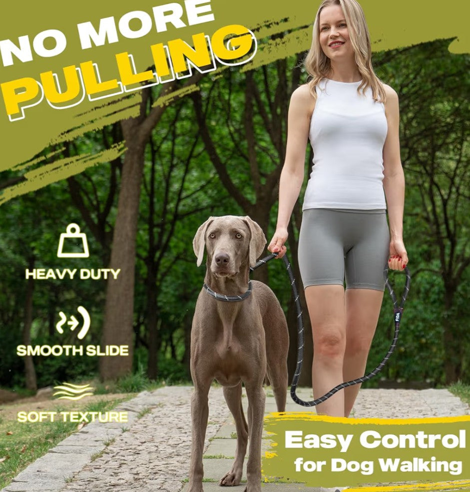 Fida Durable Slip Lead Dog Leash, 6 FT x 1/2" Heavy Duty Dog Loop Leashes, Comfortable Strong Rope Slip Leash for Large Medium Dogs, No Pull Pet Training Lead with Highly Reflective(1/2", Black)