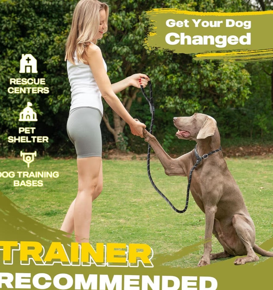 Fida Durable Slip Lead Dog Leash, 6 FT x 1/2" Heavy Duty Dog Loop Leashes, Comfortable Strong Rope Slip Leash for Large Medium Dogs, No Pull Pet Training Lead with Highly Reflective(1/2", Black)