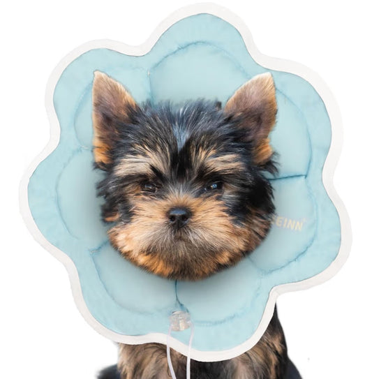 Soft Small Dog Cone Collar Alternative for Small Dogs(Puppy Yorkshire Puppy Chihuahua Pomeranian), Comfortable Dog Neck Recovery Cone, Adjustable Head Pillow Cone After Surgery to Stop Licking