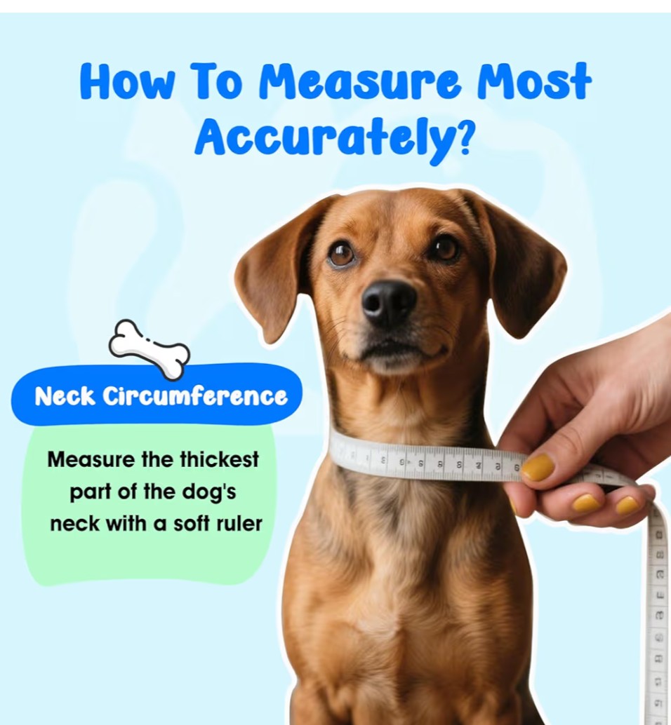 Soft Small Dog Cone Collar Alternative for Small Dogs(Puppy Yorkshire Puppy Chihuahua Pomeranian), Comfortable Dog Neck Recovery Cone, Adjustable Head Pillow Cone After Surgery to Stop Licking