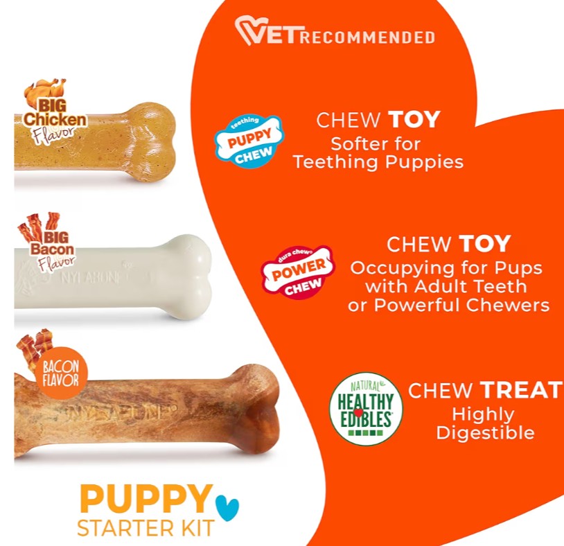 Nylabone New Puppy Starter Kit, 2 Chew Toys and 1 Natural Treat for Puppies, Puppy Teething Toy, Bacon & Chicken Flavor, Small Dogs - Up to 25 lbs., 3 Pack