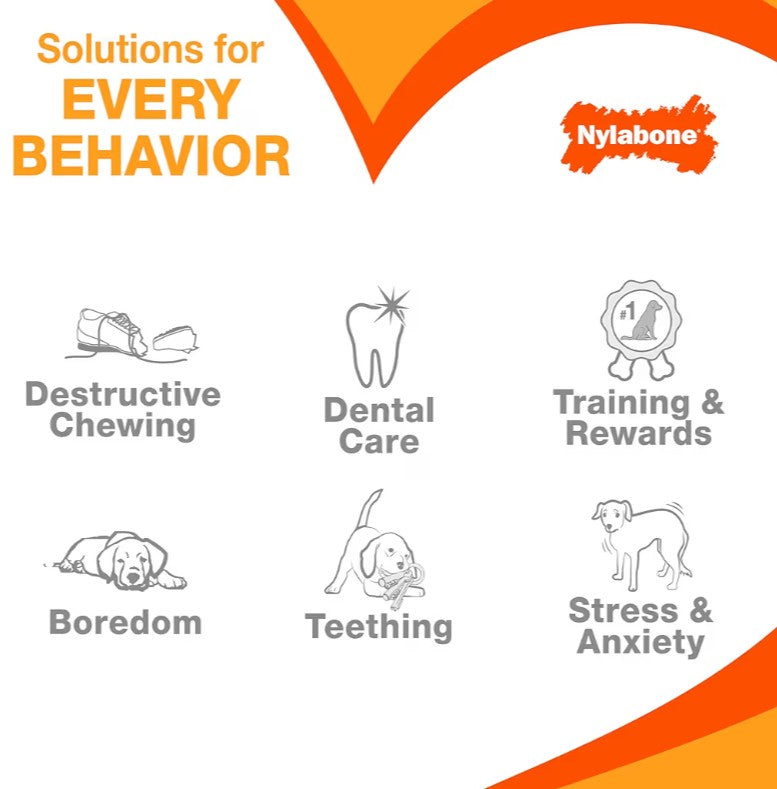 Nylabone New Puppy Starter Kit, 2 Chew Toys and 1 Natural Treat for Puppies, Puppy Teething Toy, Bacon & Chicken Flavor, Small Dogs - Up to 25 lbs., 3 Pack