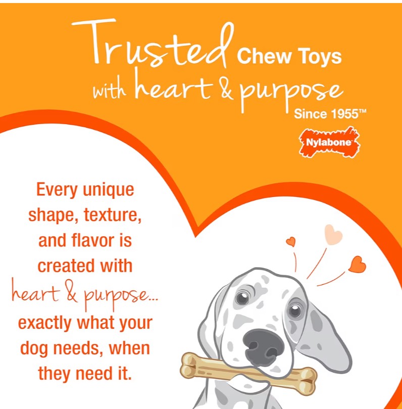 Nylabone New Puppy Starter Kit, 2 Chew Toys and 1 Natural Treat for Puppies, Puppy Teething Toy, Bacon & Chicken Flavor, Small Dogs - Up to 25 lbs., 3 Pack