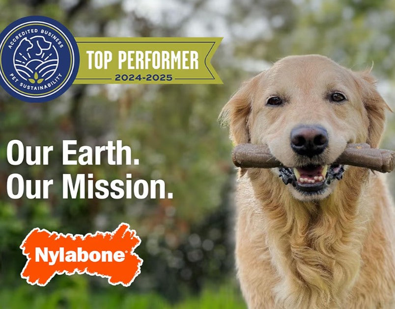 Nylabone New Puppy Starter Kit, 2 Chew Toys and 1 Natural Treat for Puppies, Puppy Teething Toy, Bacon & Chicken Flavor, Small Dogs - Up to 25 lbs., 3 Pack