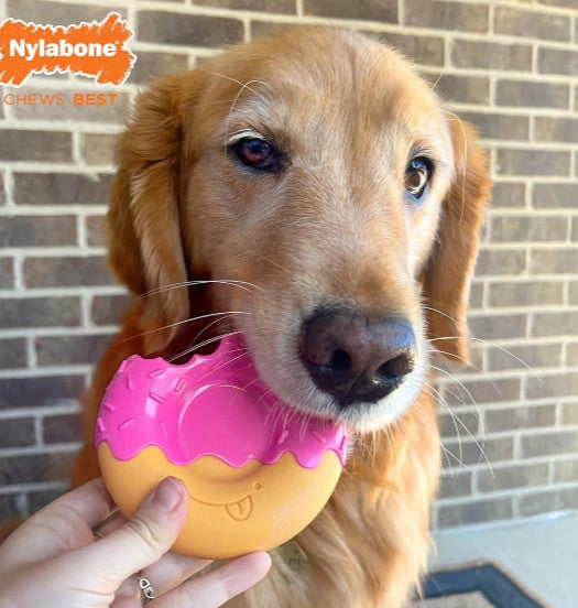 Nylabone Donut Power Chew Toy for Dogs, Dog Toys for Aggressive Chewers, Bacon Glazed Flavor, Medium Dogs - Up to 35 lbs, 1 Count
