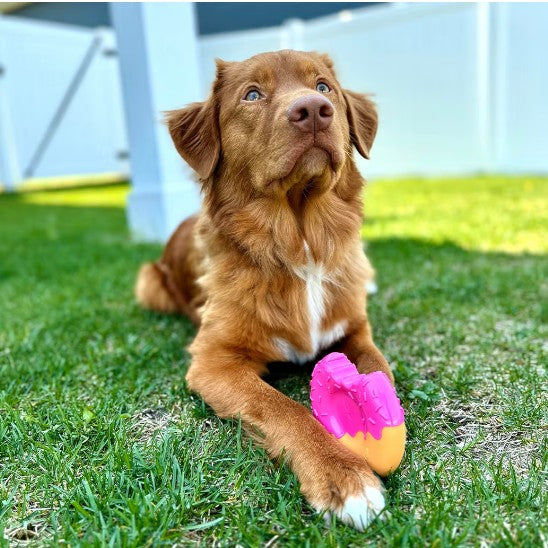 Nylabone Donut Power Chew Toy for Dogs, Dog Toys for Aggressive Chewers, Bacon Glazed Flavor, Medium Dogs - Up to 35 lbs, 1 Count