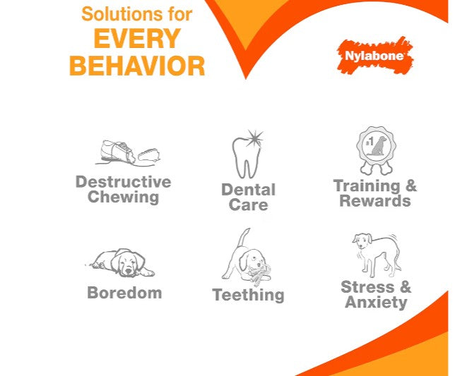 Nylabone Donut Power Chew Toy for Dogs, Dog Toys for Aggressive Chewers, Bacon Glazed Flavor, Medium Dogs - Up to 35 lbs, 1 Count