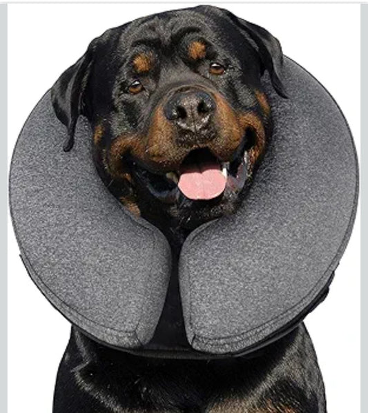 MIDOG Inflatable Dog Cone Alternative for After Surgery - Soft Protective Donut Collar Prevents Licking & Allows Eating, Comfortable Recovery E-Collar Alternative for Small Medium Large Dogs (Gray,XL)