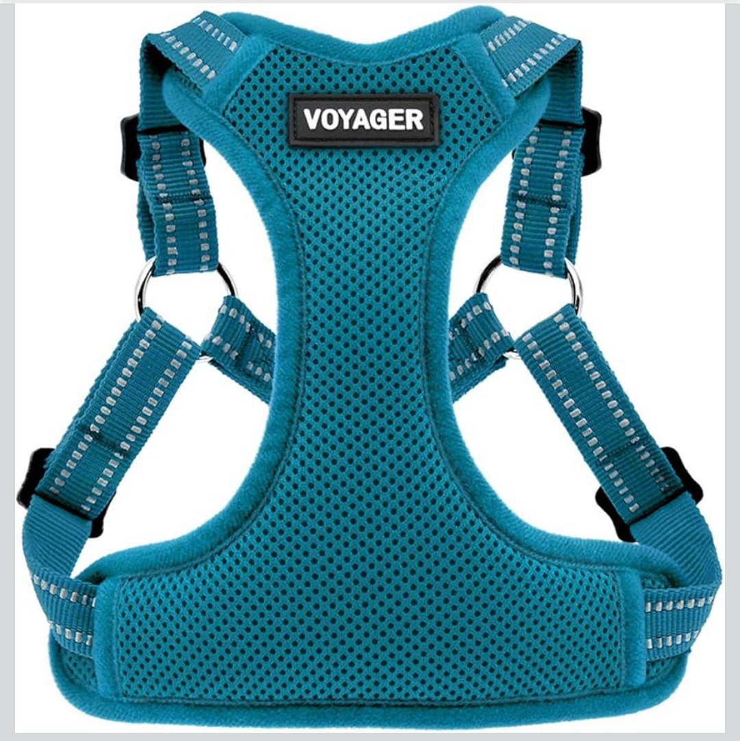 Best Pet Supplies Voyager Mesh Dog Breathable Harness Reflective Stitching, All Weather Adjustable for Walking Training, or Running - Heavy Duty & Durable, Harness (Turquoise), S