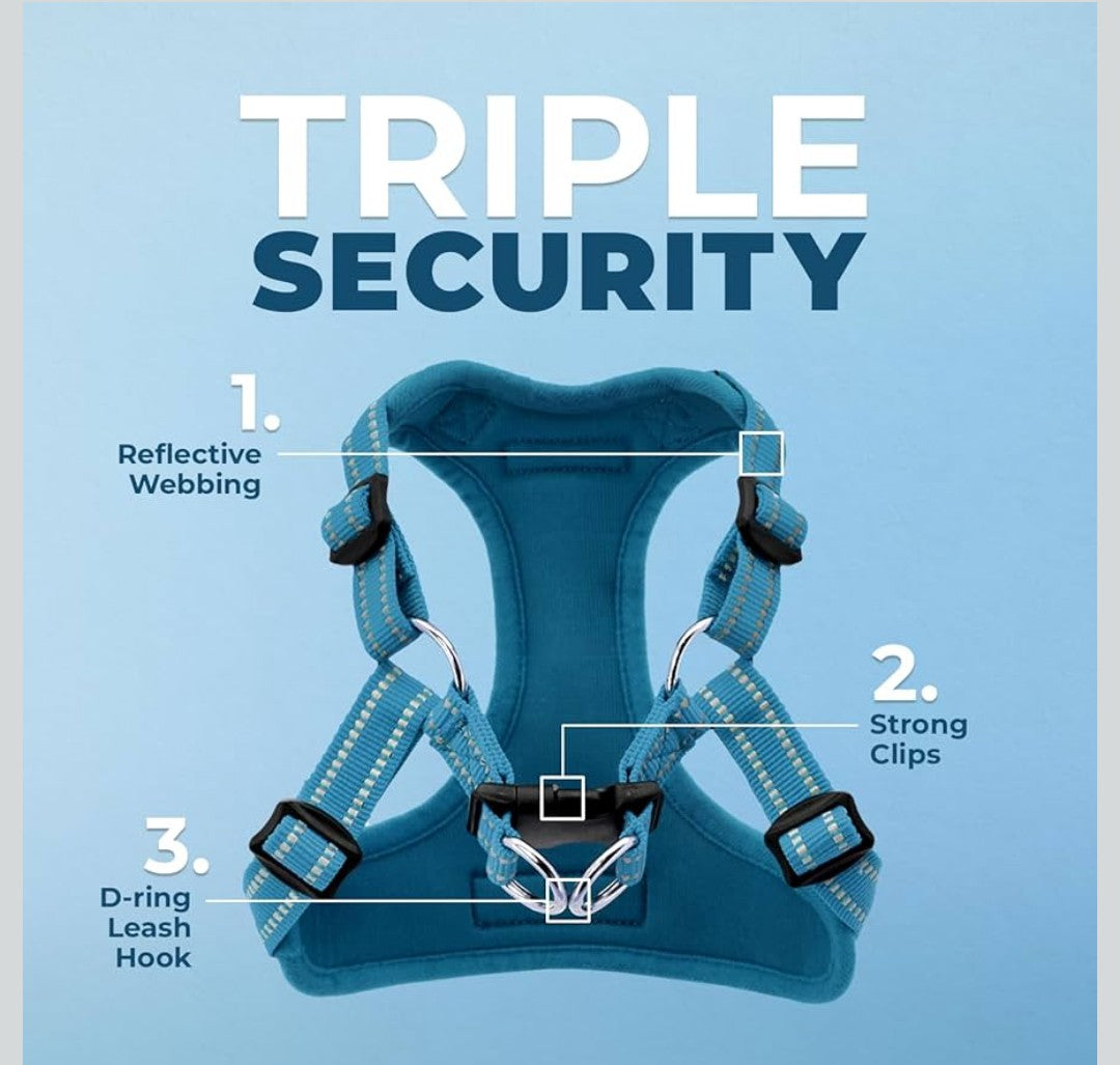 Best Pet Supplies Voyager Mesh Dog Breathable Harness Reflective Stitching, All Weather Adjustable for Walking Training, or Running - Heavy Duty & Durable, Harness (Turquoise), S