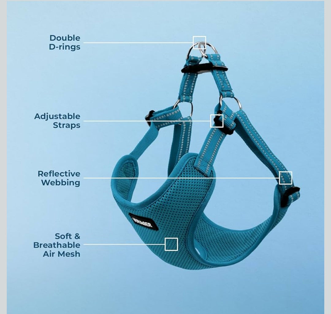 Best Pet Supplies Voyager Mesh Dog Breathable Harness Reflective Stitching, All Weather Adjustable for Walking Training, or Running - Heavy Duty & Durable, Harness (Turquoise), S