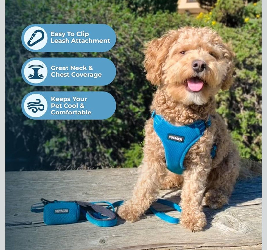 Best Pet Supplies Voyager Mesh Dog Breathable Harness Reflective Stitching, All Weather Adjustable for Walking Training, or Running - Heavy Duty & Durable, Harness (Turquoise), S
