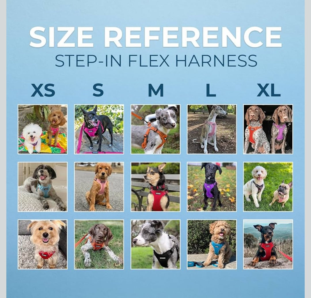 Best Pet Supplies Voyager Mesh Dog Breathable Harness Reflective Stitching, All Weather Adjustable for Walking Training, or Running - Heavy Duty & Durable, Harness (Turquoise), S