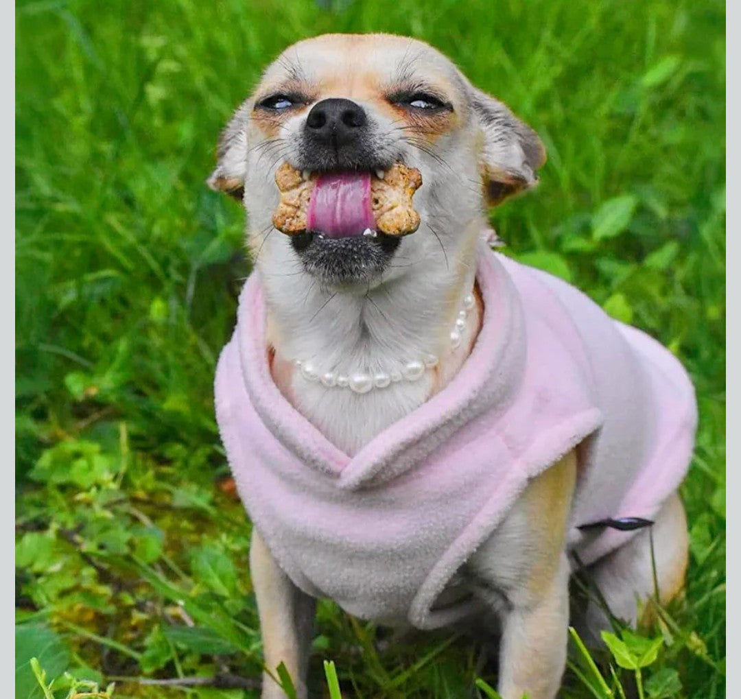 JACKO & CO - Fleece Vest Dog Sweater with Leash Ring - Soft, Warm & Lightweight Pullover Coat for Small & Medium Dogs, Puppies & Cats - Cozy Fall/Winter/Spring Pet Jacket (Pink Lemonade, XL 17-25lbs)