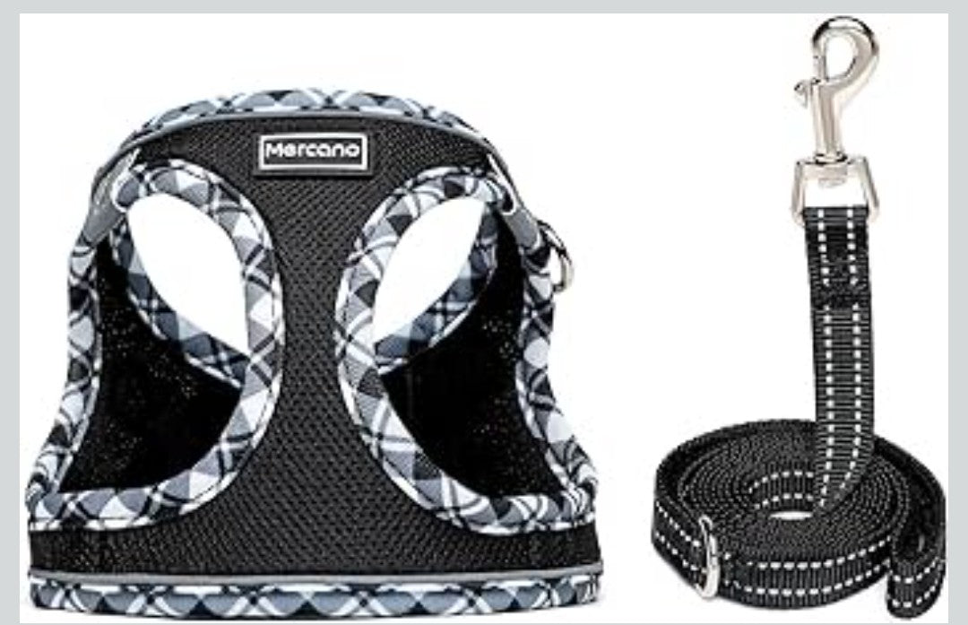 Mercano Soft Mesh Dog Harness and Leash Set, No-Chock Step-in Reflective Breathable Lightweight Easy Walk Vest Harnesses with Safety Buckle for Small Dogs, Cats (Black White, XS)