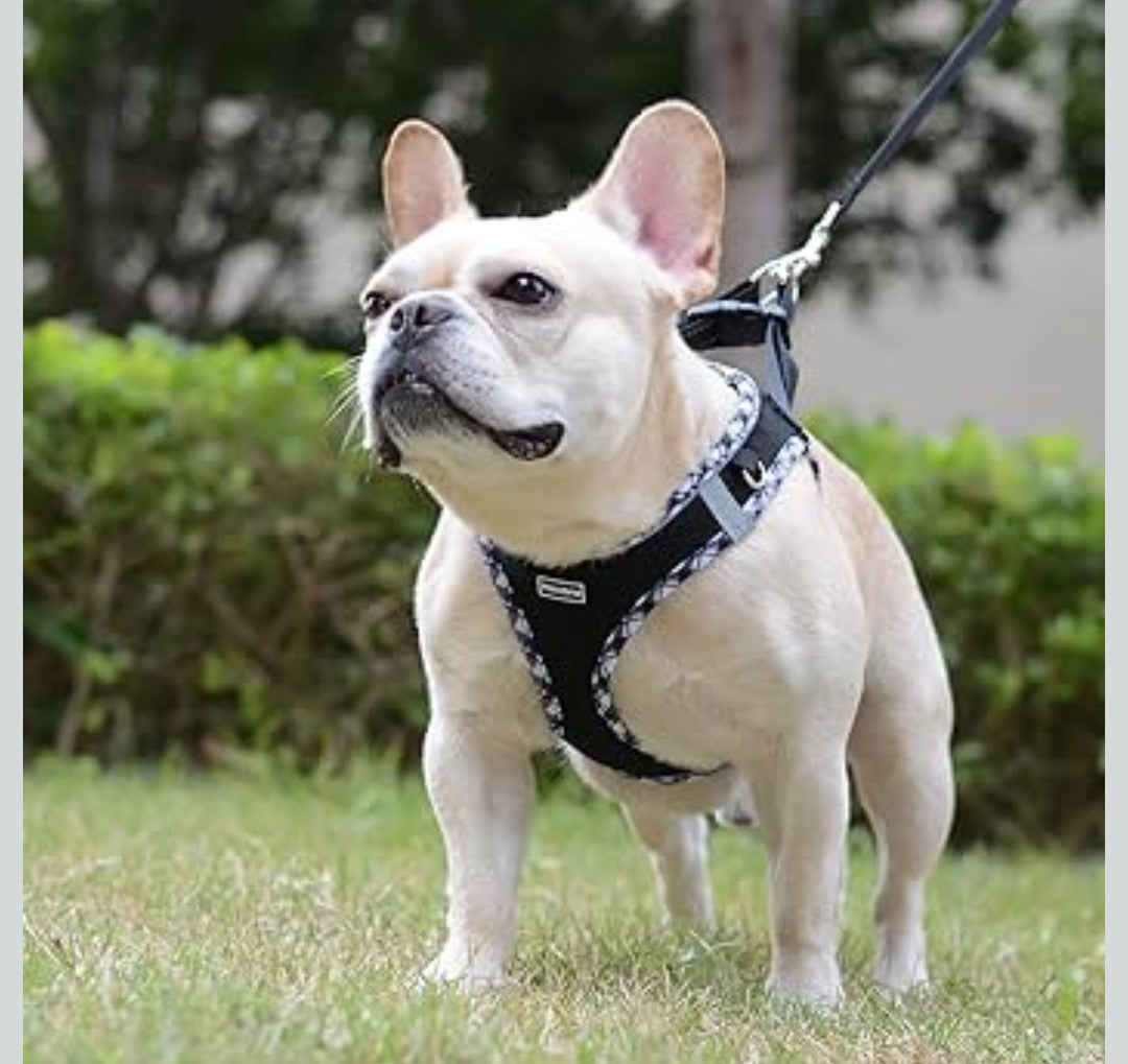 Mercano Soft Mesh Dog Harness and Leash Set, No-Chock Step-in Reflective Breathable Lightweight Easy Walk Vest Harnesses with Safety Buckle for Small Dogs, Cats (Black White, XS)