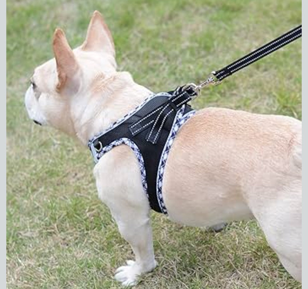 Mercano Soft Mesh Dog Harness and Leash Set, No-Chock Step-in Reflective Breathable Lightweight Easy Walk Vest Harnesses with Safety Buckle for Small Dogs, Cats (Black White, XS)
