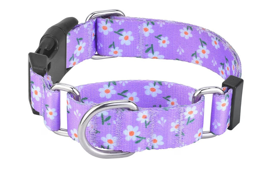 Martingale Collar for Dogs, Adjustable Soft Nylon Dog Collars with Special Design Cute Patterns for Small Medium Large Dog