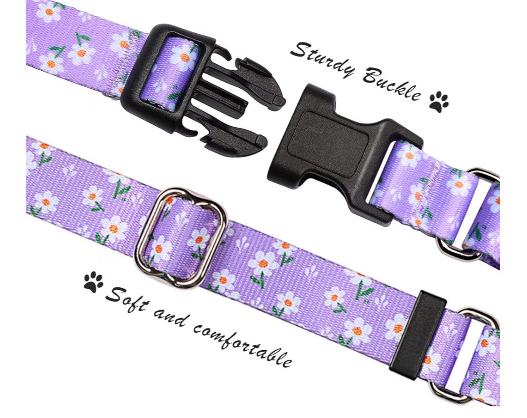 Martingale Collar for Dogs, Adjustable Soft Nylon Dog Collars with Special Design Cute Patterns for Small Medium Large Dog