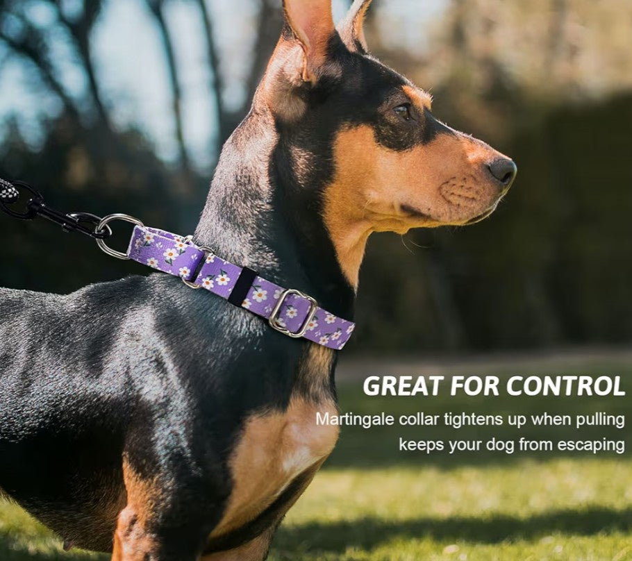 Martingale Collar for Dogs, Adjustable Soft Nylon Dog Collars with Special Design Cute Patterns for Small Medium Large Dog