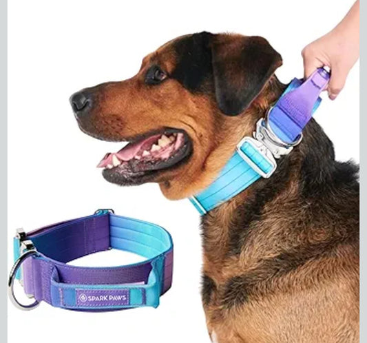 Spark Paws Tactical Dog Collar - Heavy Duty, Premium Quality, Thick and Durable for Large and Medium Dogs - 90s Retro - L - 1.5"