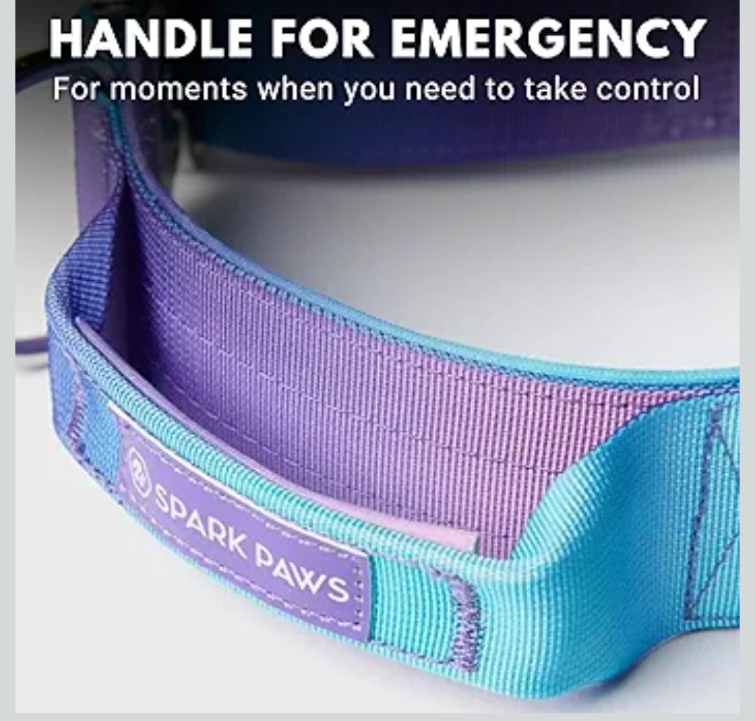 Spark Paws Tactical Dog Collar - Heavy Duty, Premium Quality, Thick and Durable for Large and Medium Dogs - 90s Retro - L - 1.5"