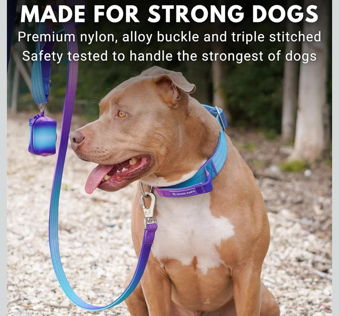 Spark Paws Tactical Dog Collar - Heavy Duty, Premium Quality, Thick and Durable for Large and Medium Dogs - 90s Retro - L - 1.5"