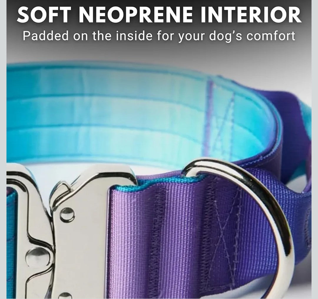 Spark Paws Tactical Dog Collar - Heavy Duty, Premium Quality, Thick and Durable for Large and Medium Dogs - 90s Retro - L - 1.5"