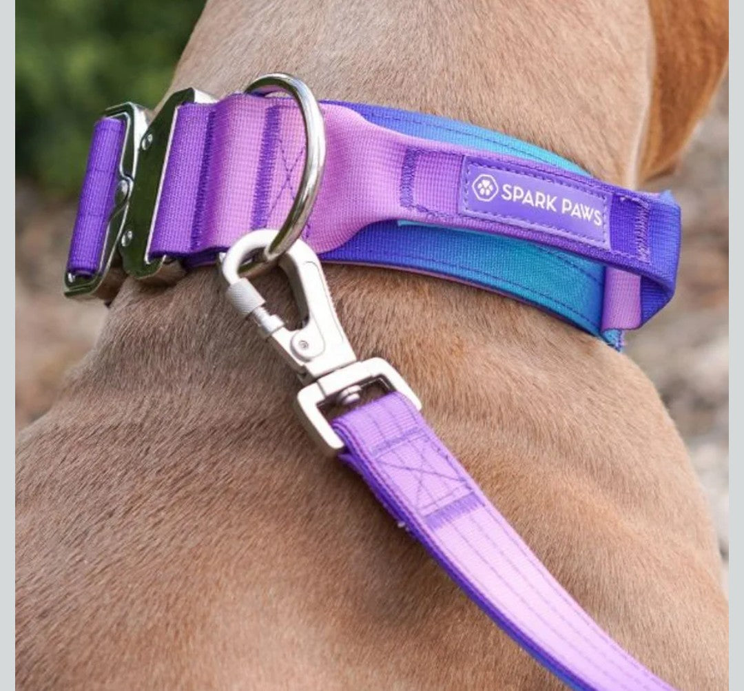 Spark Paws Tactical Dog Collar - Heavy Duty, Premium Quality, Thick and Durable for Large and Medium Dogs - 90s Retro - L - 1.5"