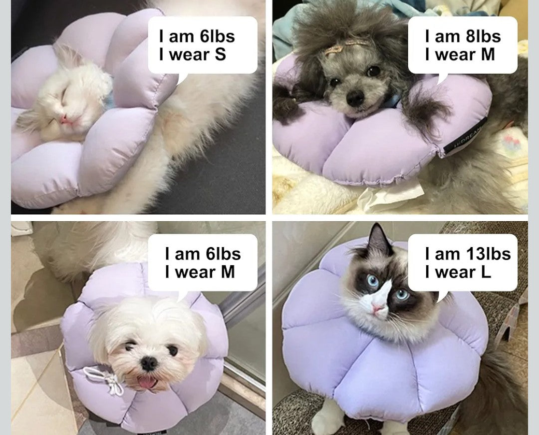 Cat Cone Collar,Cute Waterproof Cat Recovery Collar,Anti-Bite Lick Wound Healing Safety Elizabethan e Collar for Cats,Purple Flower All-Season Style…