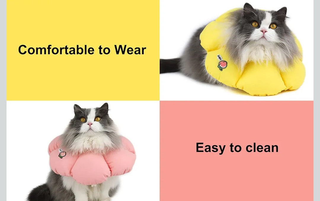 Cat Cone Collar,Cute Waterproof Cat Recovery Collar,Anti-Bite Lick Wound Healing Safety Elizabethan e Collar for Cats,Purple Flower All-Season Style…