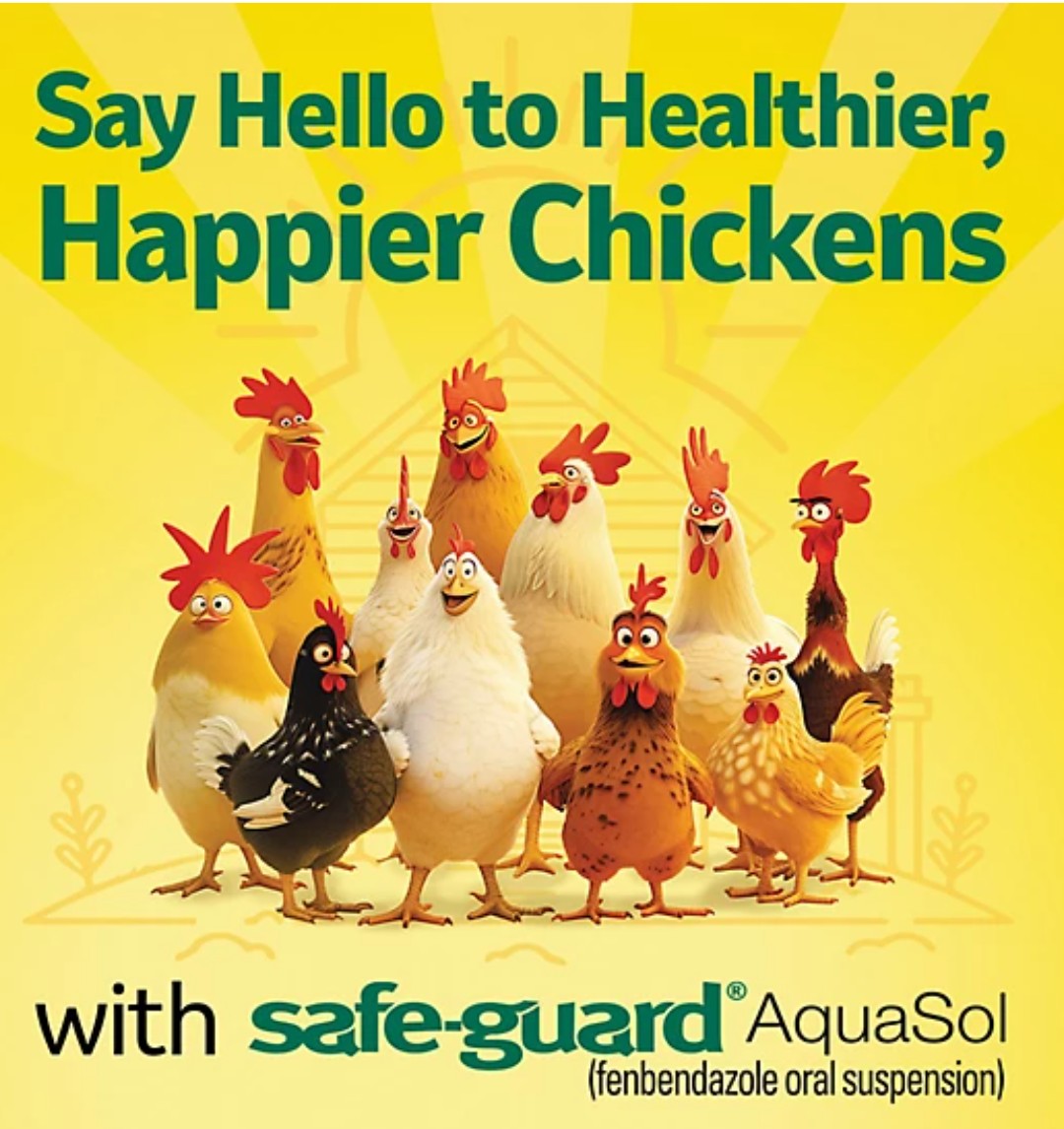Safe-Guard Aquasol Dewormer for Chickens, 3 mL