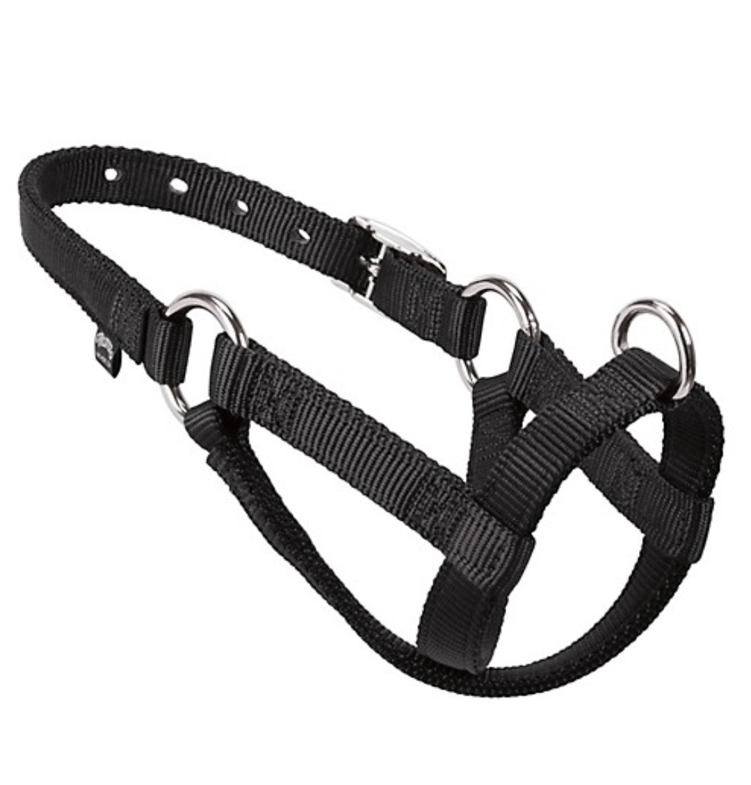 Weaver Livestock Nylon Small Sheep/Goat Walking Halter in Black