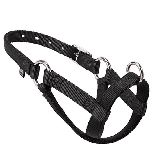 Weaver Livestock Nylon Small Sheep/Goat Walking Halter in Black