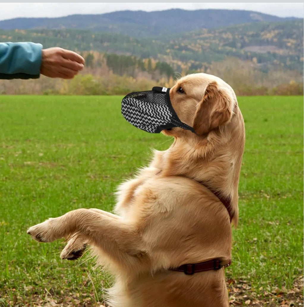 Barking Dog Muzzle for Medium to Large Breeds Breathable Mesh Dog Mouth Cover for Chewing and Barking Control and Comfortable Design Gray Stripes XXL