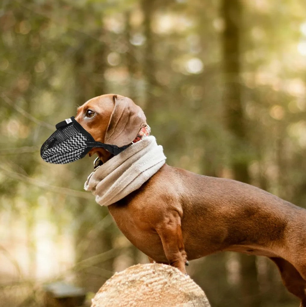 Barking Dog Muzzle for Medium to Large Breeds Breathable Mesh Dog Mouth Cover for Chewing and Barking Control and Comfortable Design Gray Stripes XXL