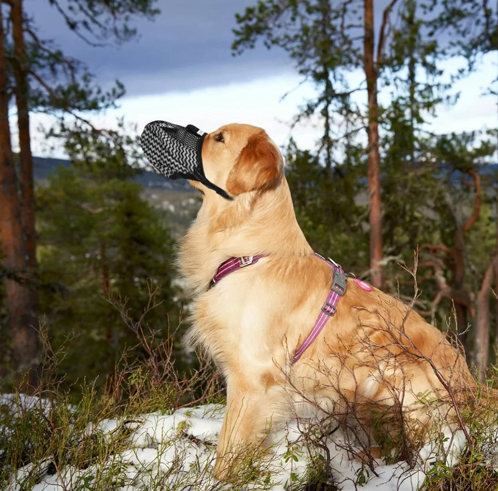Barking Dog Muzzle for Medium to Large Breeds Breathable Mesh Dog Mouth Cover for Chewing and Barking Control and Comfortable Design Gray Stripes XXL