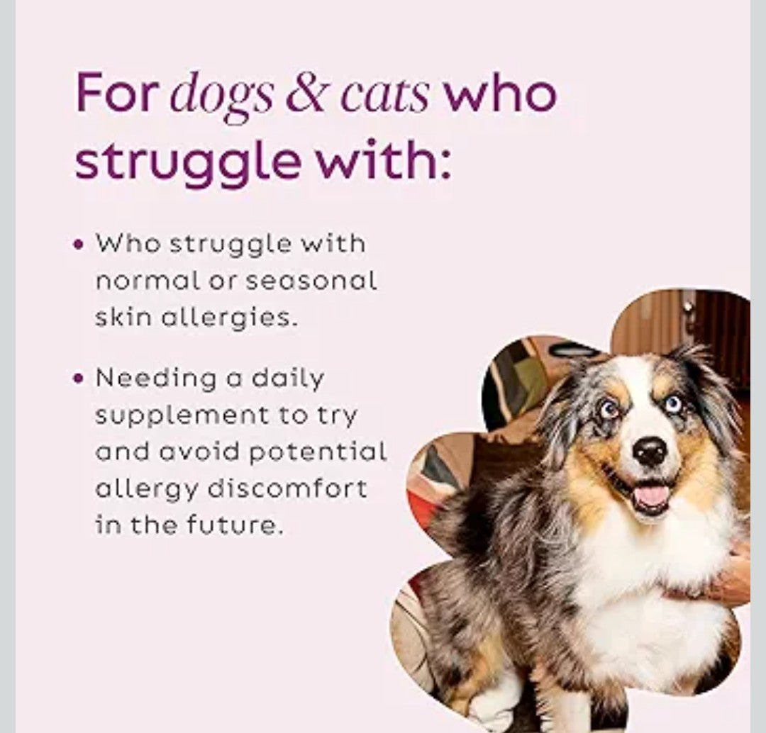 Super Snouts Super Shrooms Mushroom Immune Support Supplement for Dogs and Cats, 2.64 oz - Made in USA Organic Non-GMO, Immune Health for Strong Immunity, 7 Mushroom Blend Powder