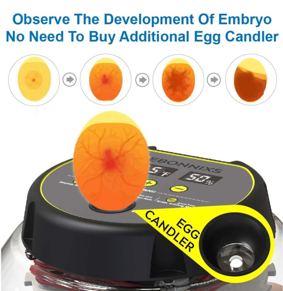 12 Egg Incubator with Humidity Display, Egg Candler, Automatic Egg Turner, for Hatching Chickens