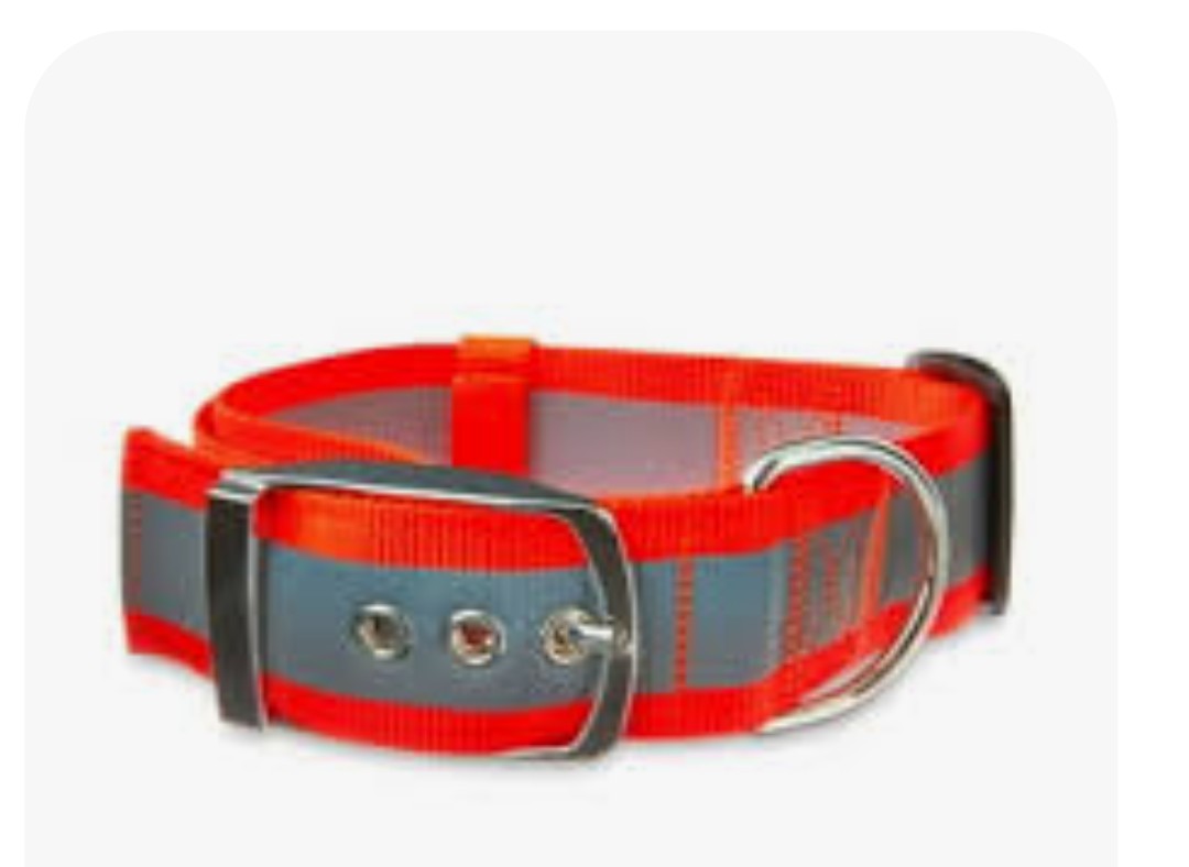 Heavy Duty Reflective Dog Collar Adjustable Dog Collar with Durable Metal Buckle and D Ring Chew Resistant Waterproof Dog Collar