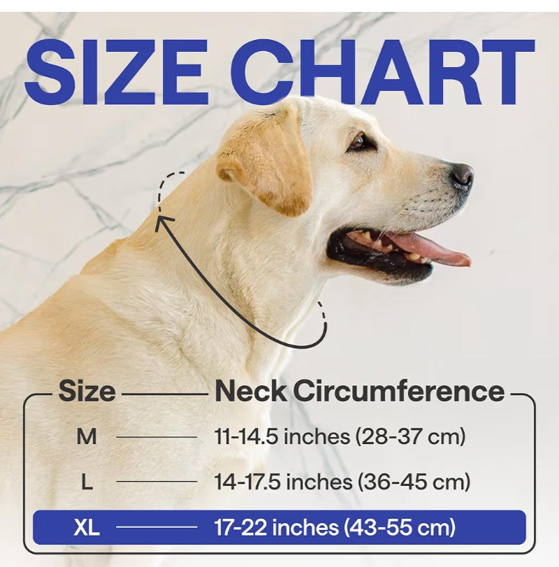 Soft Inflatable Dog Cone for After Surgery – Comfortable Donut E-Collar Alternative to Prevent Licking & Scratching – Adjustable Recovery Collar for Large Dogs – Washable Protective Neck Pillow