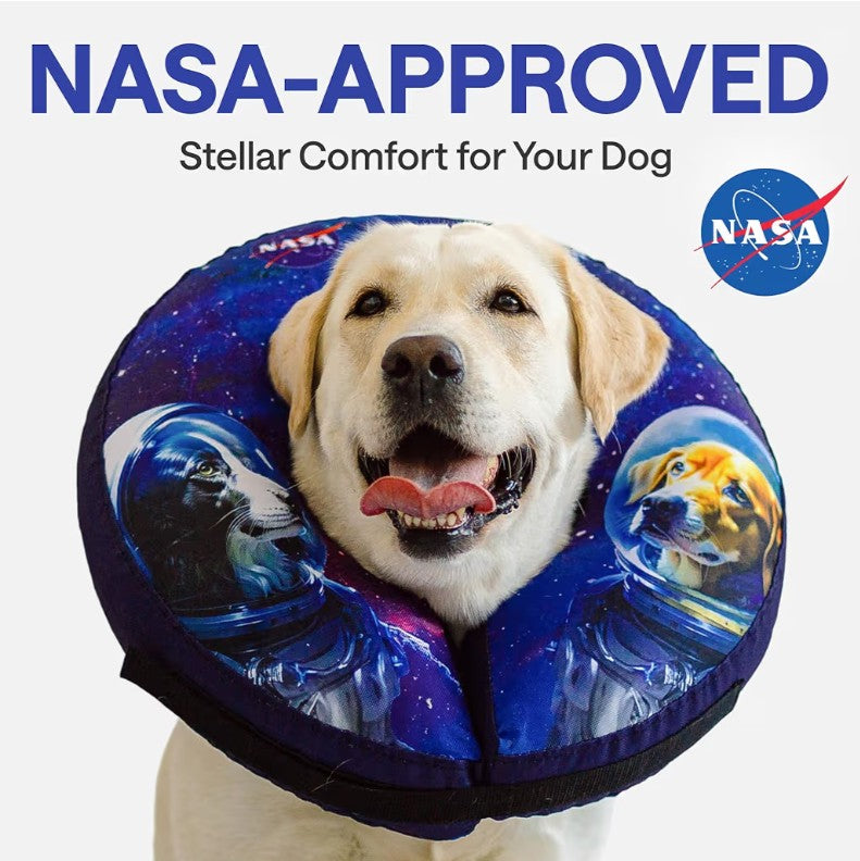 Soft Inflatable Dog Cone for After Surgery – Comfortable Donut E-Collar Alternative to Prevent Licking & Scratching – Adjustable Recovery Collar for Large Dogs – Washable Protective Neck Pillow