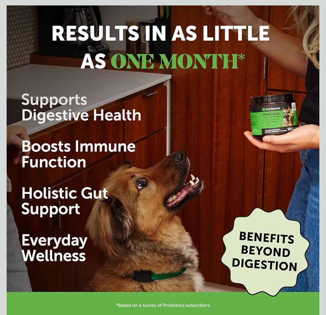 6 Billion CFU Dog Probiotics with Prebiotics, Digestive Enzymes, & Fiber - Relief for Occasional Diarrhea, Gas, Bloating & Itchy Skin - Daily Gut Health & Immune Support for All Dogs (Pumpkin, 90 ct)