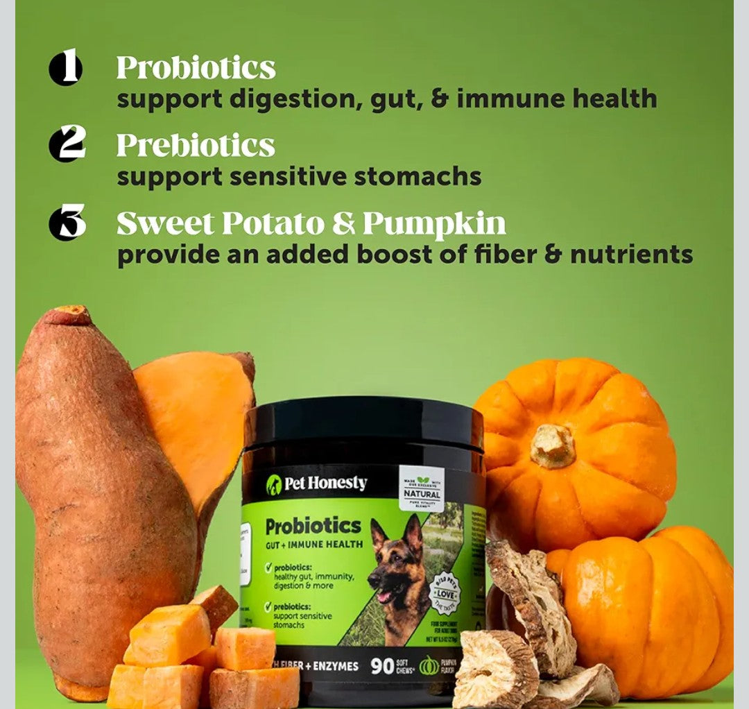 6 Billion CFU Dog Probiotics with Prebiotics, Digestive Enzymes, & Fiber - Relief for Occasional Diarrhea, Gas, Bloating & Itchy Skin - Daily Gut Health & Immune Support for All Dogs (Pumpkin, 90 ct)